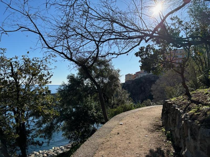 Bella Vista *
